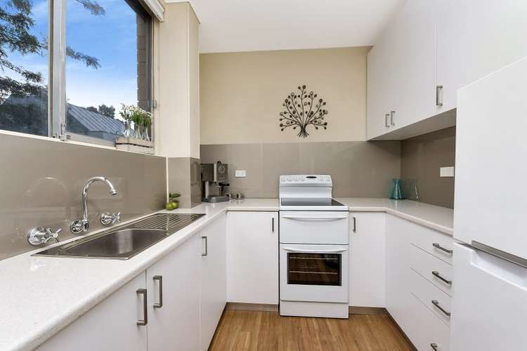 Second view of Homely studio listing, 8/2-6 Sheehy Street, Glebe NSW 2037