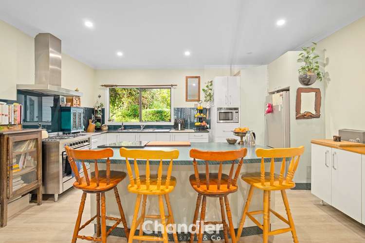 Sixth view of Homely house listing, 77 The Crescent, Sassafras VIC 3787