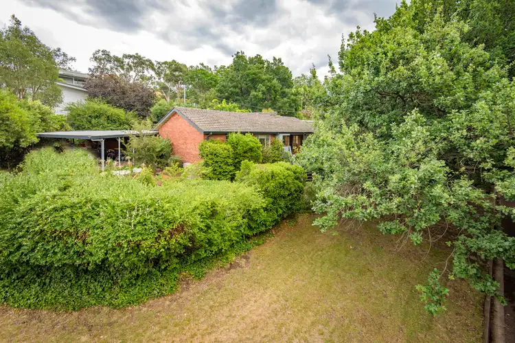 17 Quandong Street, O'connor ACT 2602