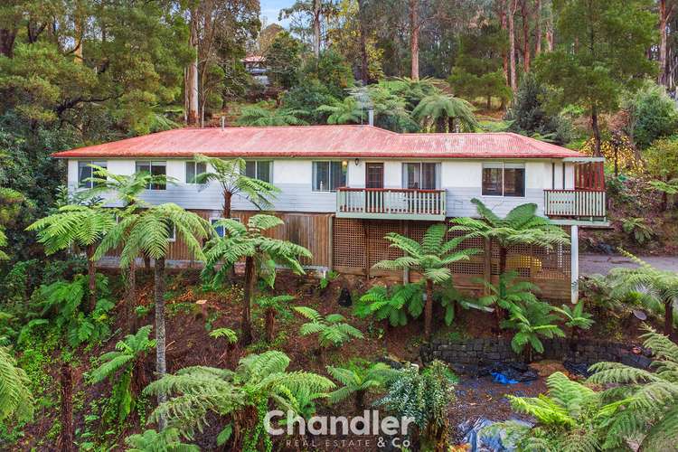 Main view of Homely house listing, 35-37 McAllister Road, Monbulk VIC 3793
