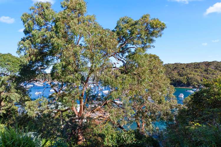 Third view of Homely apartment listing, 1/53 Lauderdale Avenue, Fairlight NSW 2094