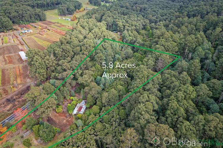 3505 Yarra Junction-Noojee Road, Piedmont VIC 3833