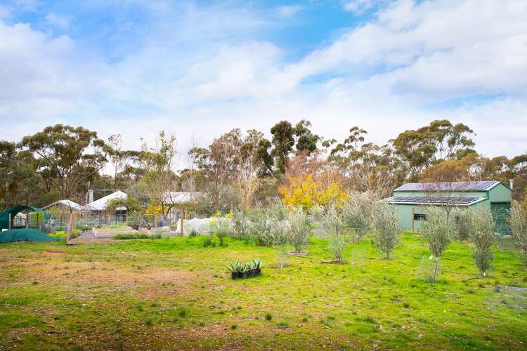 Fifth view of Homely house listing, 1003 Castlemaine-Maldon Road, Maldon VIC 3463