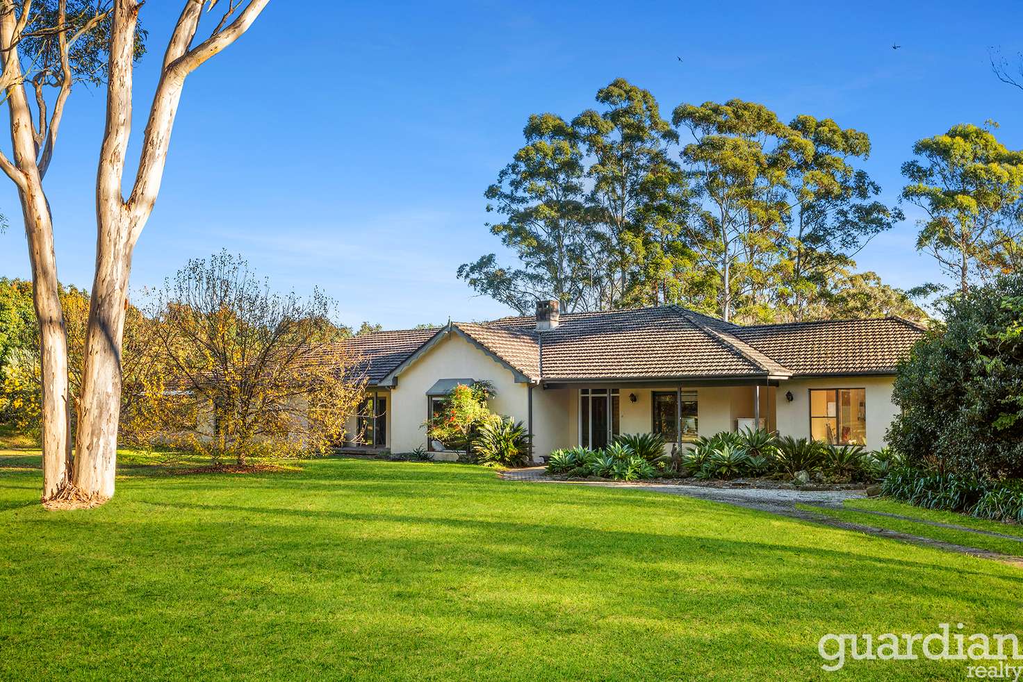 Main view of Homely house listing, 5 Muscios Road, Glenorie NSW 2157