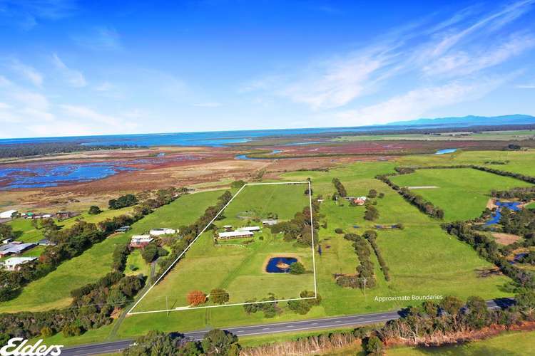 Sixth view of Homely acreageSemiRural listing, 8060 South Gippsland Highway, Alberton VIC 3971