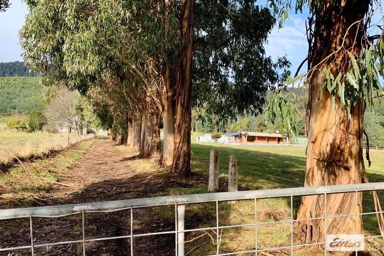 Main view of Homely house listing, 471 Nook Road, Nabowla TAS 7260