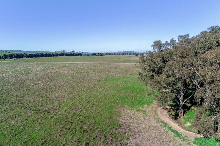 Fifth view of Homely house listing, 800 Mansfield-Woods Point Road, Mansfield VIC 3722