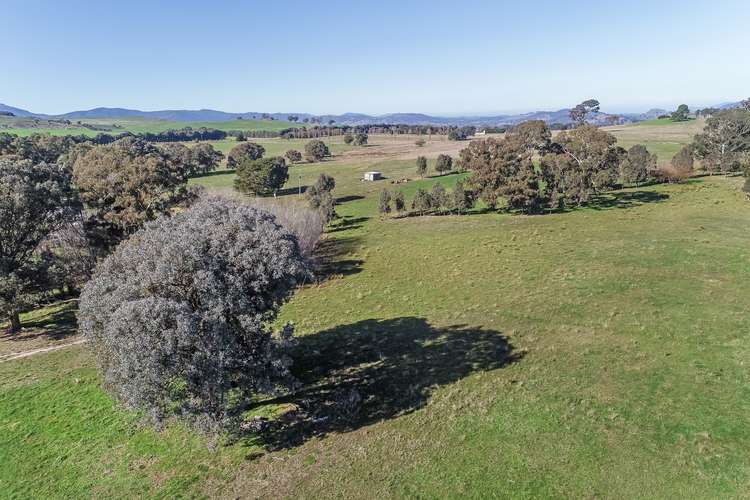 Seventh view of Homely house listing, 800 Mansfield-Woods Point Road, Mansfield VIC 3722