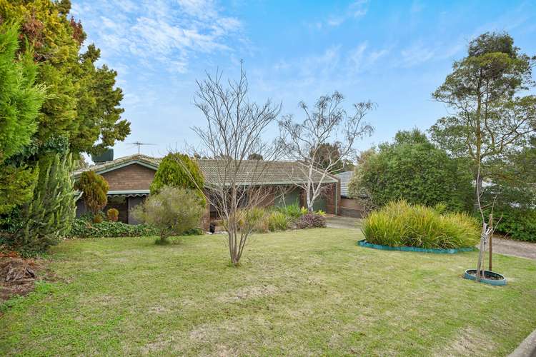 Main view of Homely house listing, 17 Torrens Street, Happy Valley SA 5159