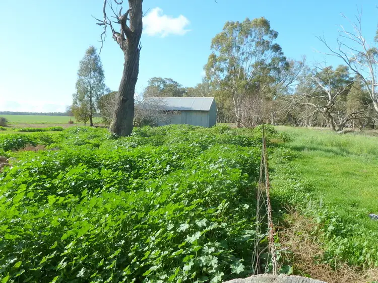 Third view of Homely rural property listing, CA13A Calder Highway, Charlton VIC 3525