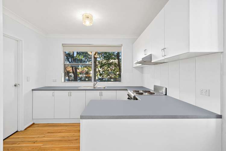 Third view of Homely unit listing, 1/12 Catherine Street, Gwynneville NSW 2500