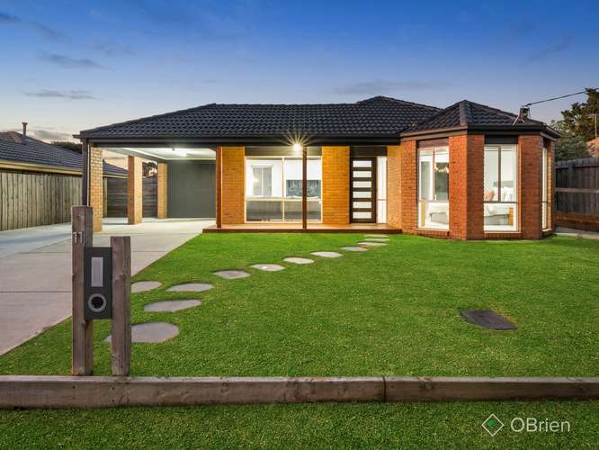Fourth view of Homely house listing, 11 Deborah Court, Skye VIC 3977