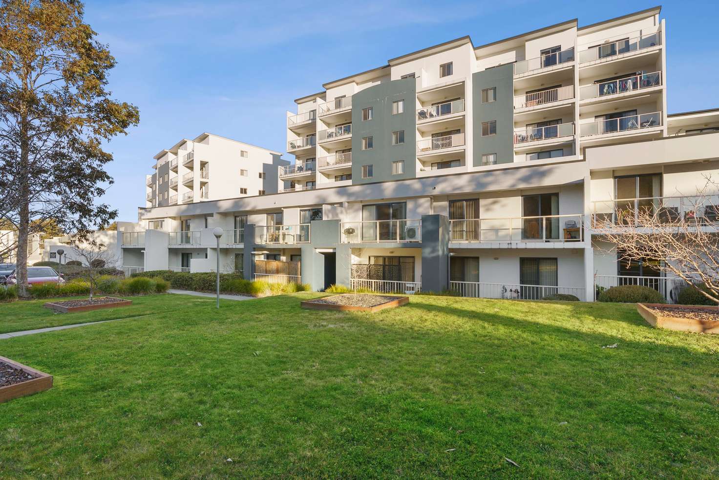 Main view of Homely apartment listing, 43c/21 Beissel Street, Belconnen ACT 2617
