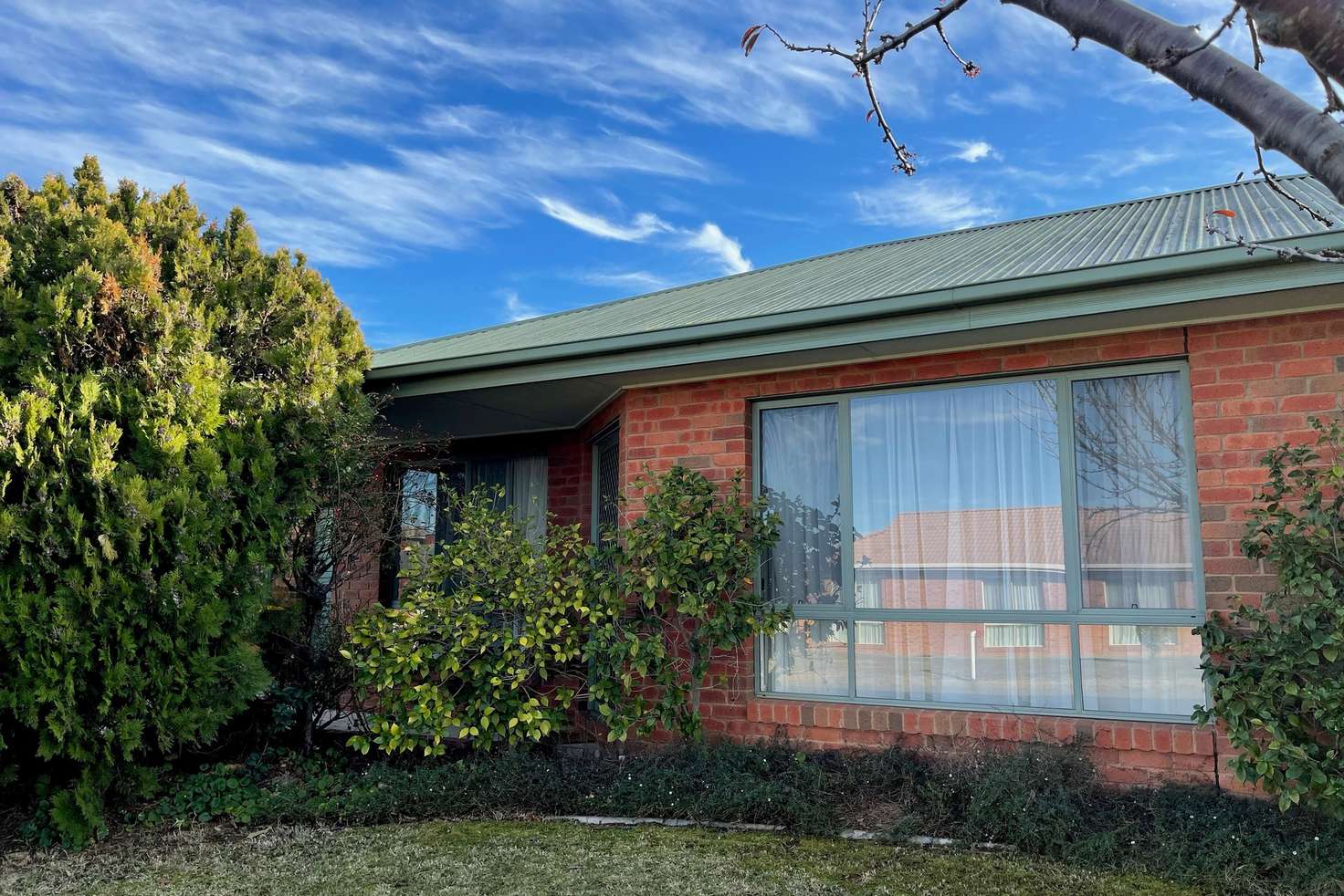 Main view of Homely unit listing, 14 Waratah Court, Cobram VIC 3644