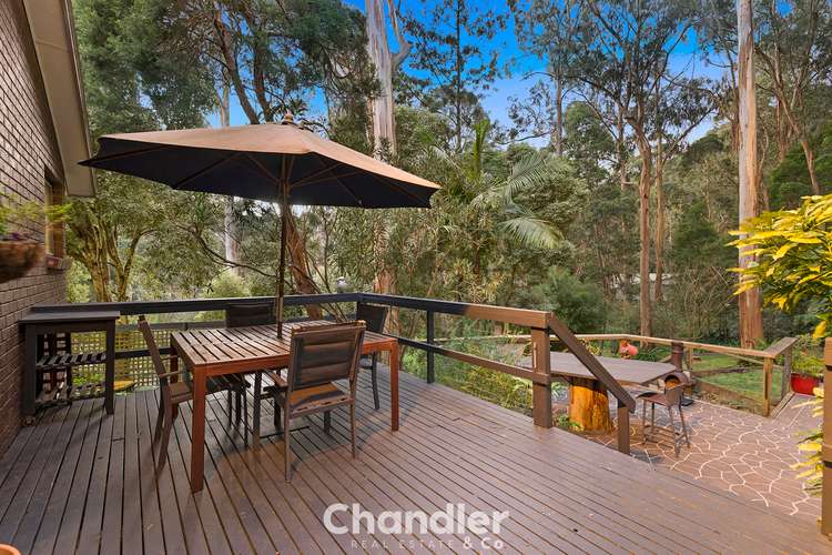 Main view of Homely house listing, 79 Mast Gully Road, Upwey VIC 3158