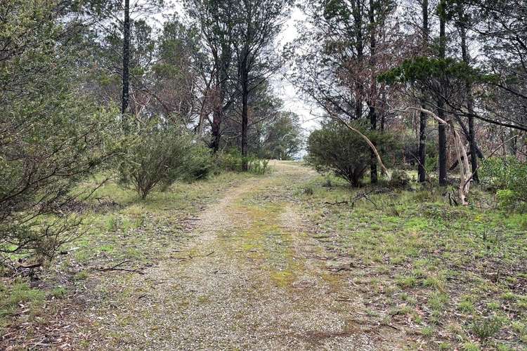 Seventh view of Homely residentialLand listing, Lot 53 Knott Road, Williamstown SA 5351