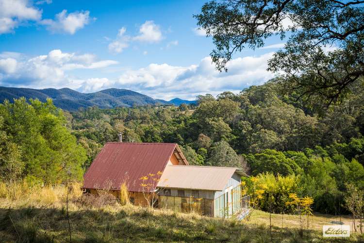 Main view of Homely acreageSemiRural listing, 559 Warrigal Range Road, Brogo NSW 2550