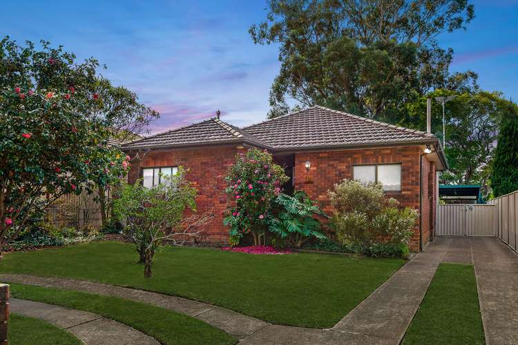 31 Segers Avenue, Padstow NSW 2211