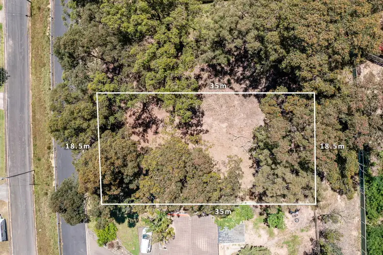 Main view of Homely land listing, 51 Albatross Road, Catalina NSW 2536