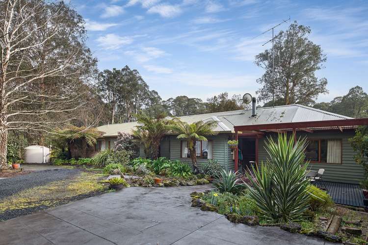 Main view of Homely house listing, 3455 Yarra Junction-Noojee Road, Piedmont VIC 3833
