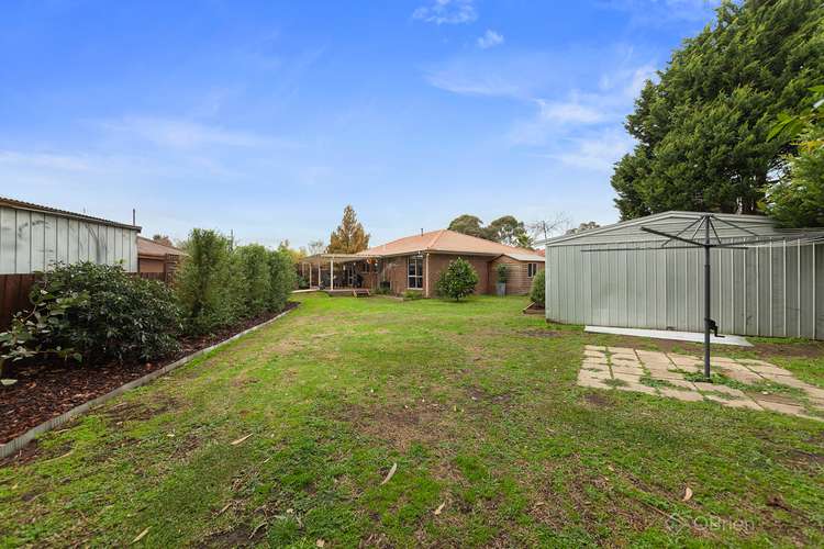 Main view of Homely house listing, 6 South Charles Court, Cranbourne VIC 3977