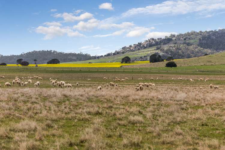 Main view of Homely ruralOther listing, 630 Waubra-Talbot Road, Evansford VIC 3371