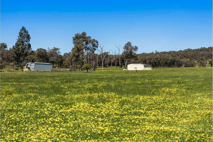 Seventh view of Homely lifestyle listing, 137 Densley Road, Bindoon WA 6502