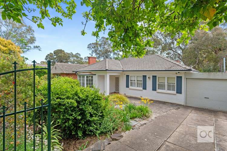Main view of Homely house listing, 13 Wahroonga Avenue, Wattle Park SA 5066