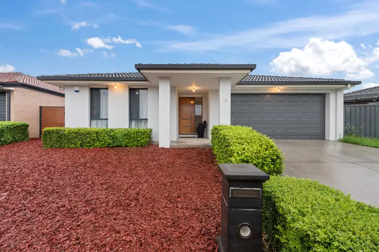 Main view of Homely house listing, 16 Eccles Circuit, Macgregor ACT 2615