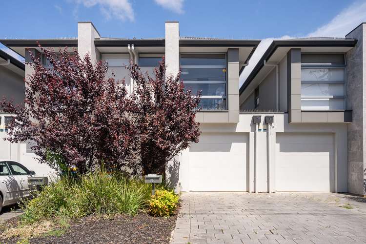 71C Hancock Avenue, Campbelltown SA 5074