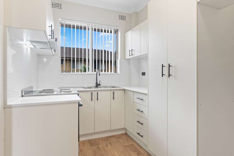 Main view of Homely apartment listing, 6/117 The Crescent Crescent, Homebush West NSW 2140