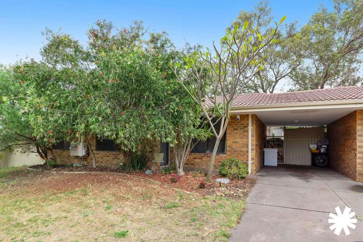 Main view of Homely semiDetached listing, 1A Moennich Court, Coolbellup WA 6163