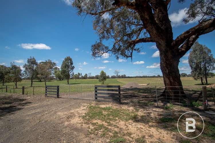 Fifth view of Homely house listing, 116 Harts Lane, Avoca VIC 3467