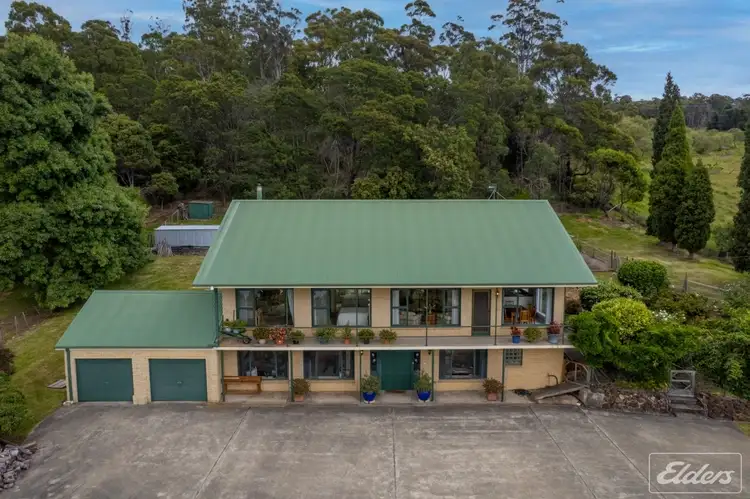 Second view of Homely rural property listing, 319 Deviot Road, Deviot TAS 7275