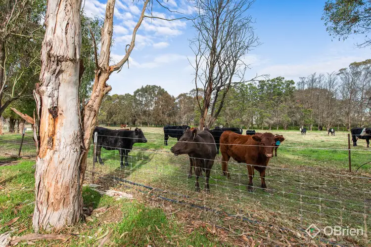 Sixth view of Homely house listing, 560 Paynesville Road, Bairnsdale VIC 3875