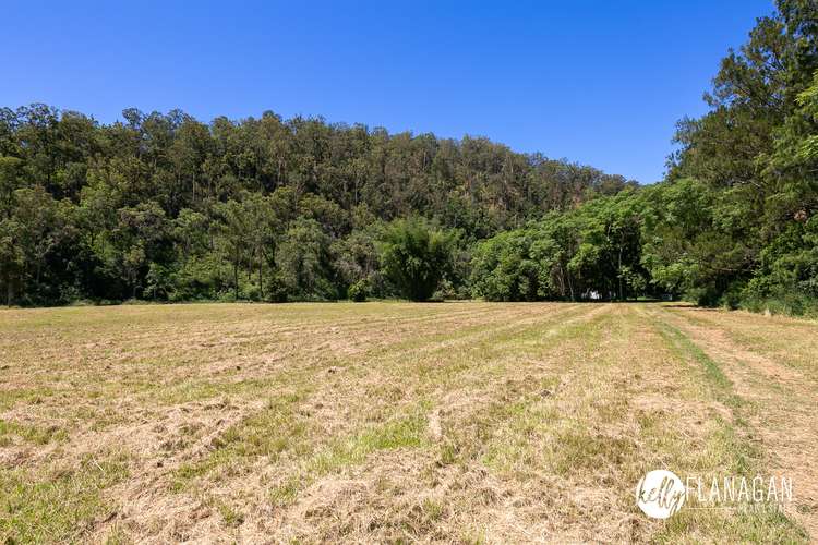 Seventh view of Homely ruralOther listing, Lot 2 Dungay Creek Road, Wittitrin NSW 2440