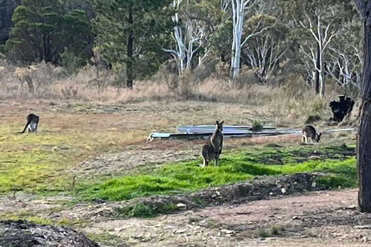 Main view of Homely ruralOther listing, Middle Arm Road, Goulburn NSW 2580