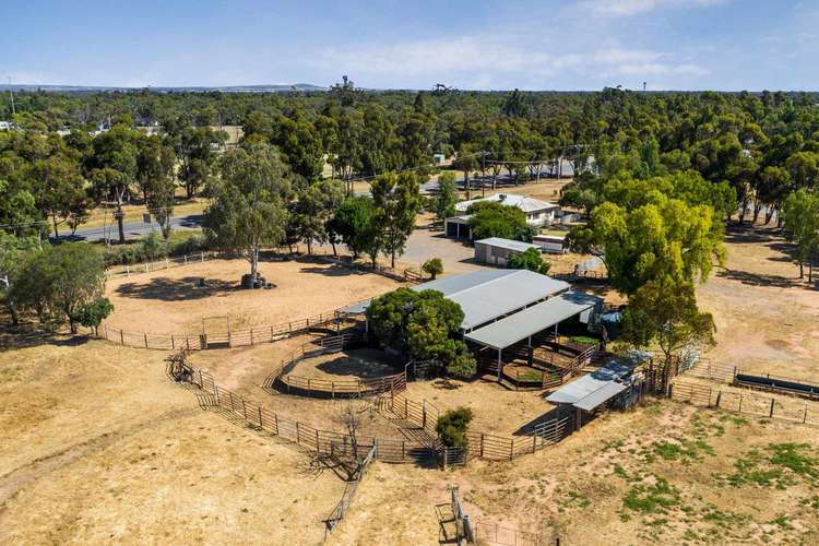 Main view of Homely ruralOther listing, 135 Calder Highway, Charlton VIC 3525