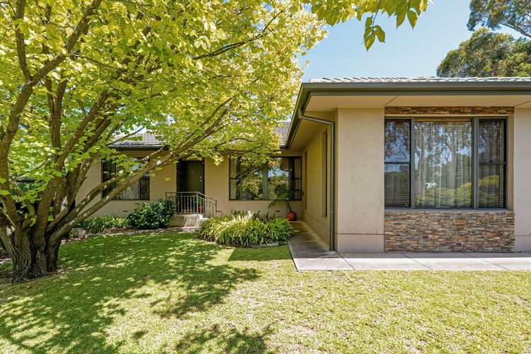 2 Protea Avenue, Coromandel Valley SA 5051