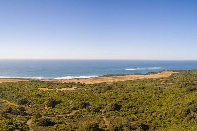 Main view of Homely house listing, Level 41, 41A, 4/1010 Lighthouse Road, Cape Otway VIC 3233