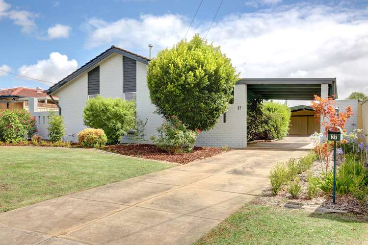 Main view of Homely house listing, 37 The Parade, Holden Hill SA 5088