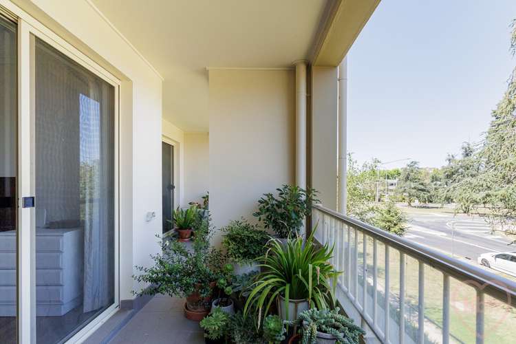 Main view of Homely apartment listing, 29/16 Doonkuna Street, Braddon ACT 2612