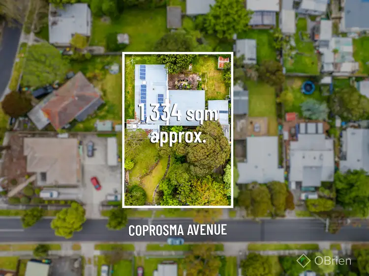 1-3 Coprosma Avenue