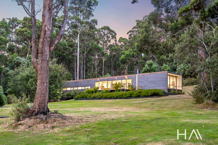 Main view of Homely house listing, 19 Osprey Road, Eaglehawk Neck TAS 7179