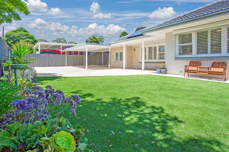 Main view of Homely house listing, 29 Cottenham Road, Banksia Park SA 5091