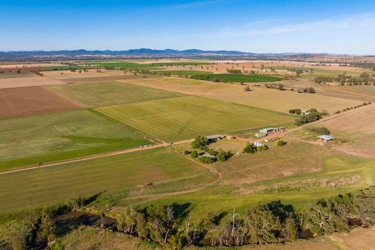 212 Cullane Road, Canowindra NSW 2804