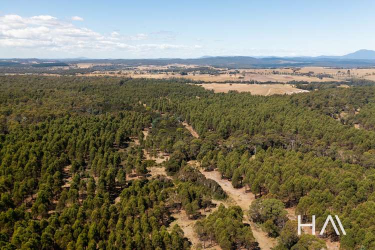 Lot 2 Bridport Road, Pipers River TAS 7252