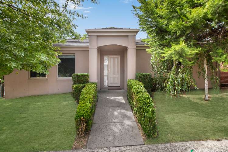 8 Prime Court, Berwick VIC 3806