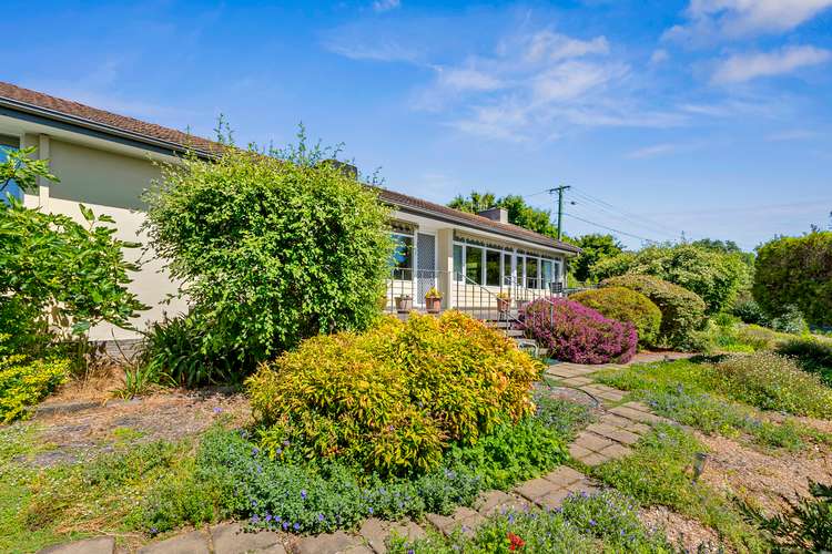 33 Earle Street, Lyneham ACT 2602