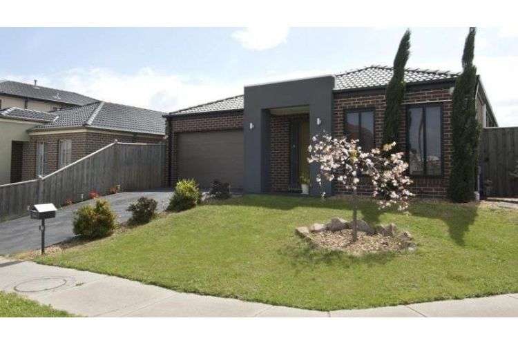 Main view of Homely house listing, 31 Tyrell Place, Berwick VIC 3806